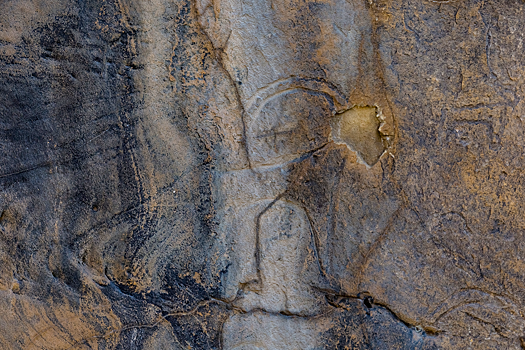 Ущелье Марковых: маршрут к древним петроглифам