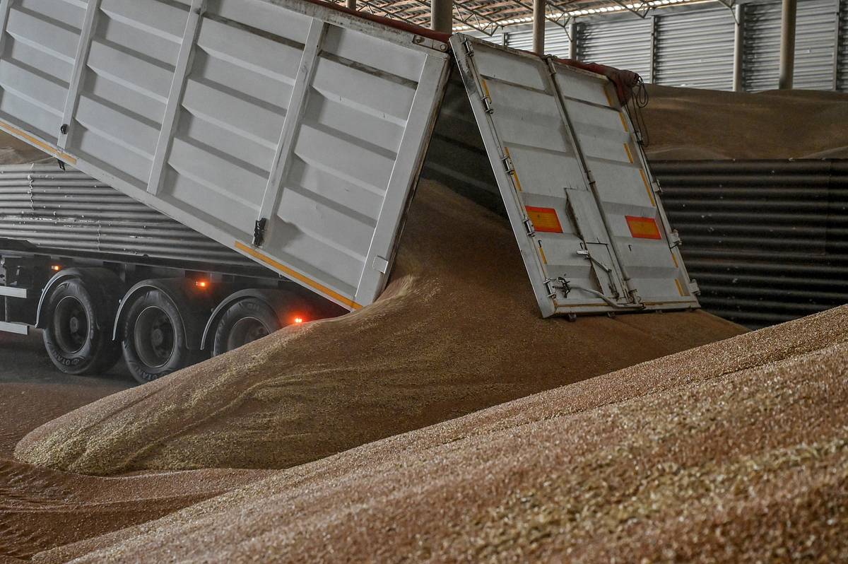 В ООН признали бессилие в выполнении условий России по зерновой сделке