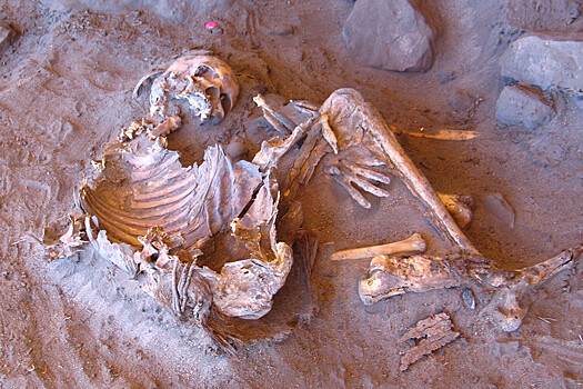 В Португалии обнаружили 12 скелетов в стене храма