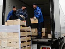 Товарооборот между Грузией и Россией резко вырос