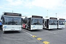 В Сочи 7 июля перевозить болельщиков к «Фишту» привлекут 250 автобусов