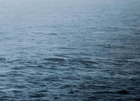 «Хоть бы не убили»: на видео сняли, кто подплыл к Владивостоку слишком близко