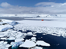 К застрявшему во льдах на Чукотке теплоходу направили ледокол
