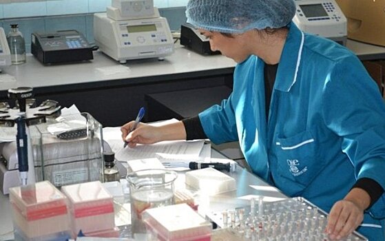 В России ученые разработали вакцины против птичьего гриппа