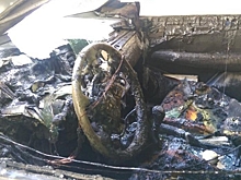 Задержан мужчина, спаливший машину матери следователя по делу Merlion