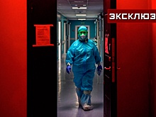 Вирусолог Чепурнов объяснил периодичность вспышек сибирской язвы