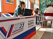 В Москве во время выборов мэра избирательницу оштрафовали из-за выключения терминала