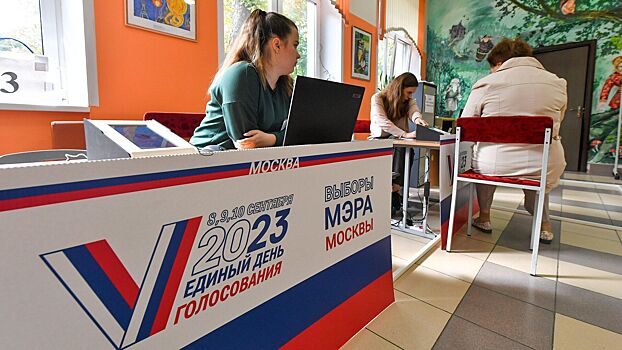 В Москве во время выборов мэра избирательницу оштрафовали из-за выключения терминала