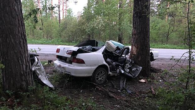 «Хонду» расплющило после столкновения с деревом на трассе под Новосибирском: погиб водитель