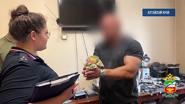 Задержан житель Бийска, который похищал заказанные по почте телефоны, возвращая продавцам неисправные аналоги
