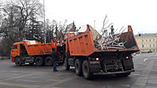 На Волжскую привезли два грузовика светящихся деревьев