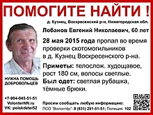 60-летний Евгений Лобанов пропал в Нижегородской области