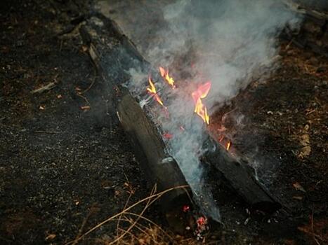 На севере Иркутской области лесные пожары локализовали на площади более 21 тыс. га