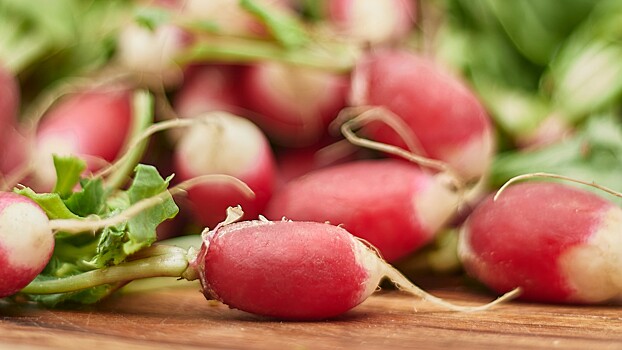 Нутрициолог объяснил, какой овощ помогает держать организм в тонусе