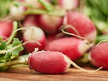 Нутрициолог объяснил, какой овощ помогает держать организм в тонусе