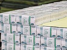 У России увеличилась финансовая «подушка безопасности»