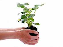 В Самаре прошло заседание проектного комитета нацпроекта "Экология"