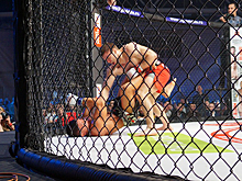 Fight Nights Global 61. Алексахин победил Эномото и другие результаты турнира