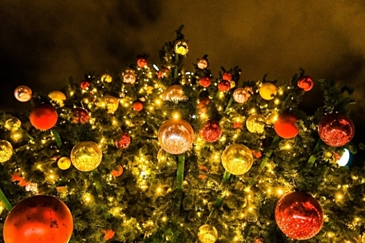 В волгоградском театре установили новогоднюю елку
