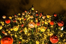 В волгоградском театре установили новогоднюю елку