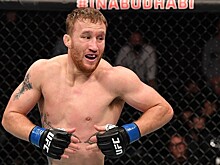 Гэтжи составил идеального бойца UFC