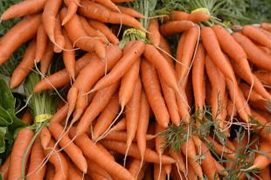 В Псковскую область не пропустили 2 т моркови из Белоруссии