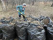 Центр "серебряных" волонтеров откроется в Челябинской области