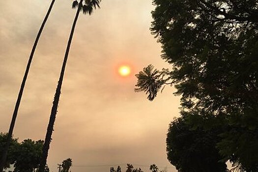 Над Лос-Анджелесом появилось "кровавое" солнце