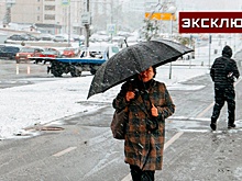 Синоптик Шувалов: на юге Московской области может выпасть до 15 см снега