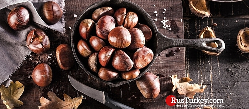 Турецкие блюда из каштанов: меню, ставшее традицией