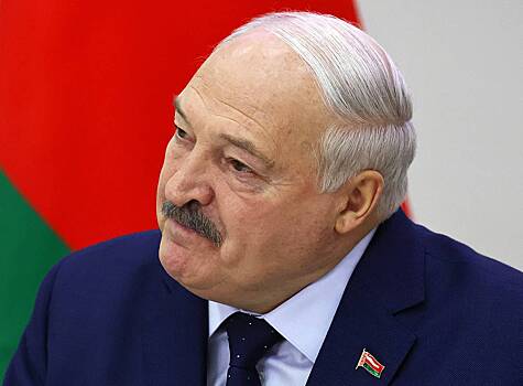 В МИД Украины назвали Лукашенко тараканом за слова о «гниде» Зеленском