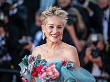 Как Шэрон Стоун боролась за славу, а затем с ее последствиями