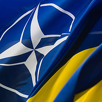 "Сами мы не местные": с чем Украина идет в НАТО