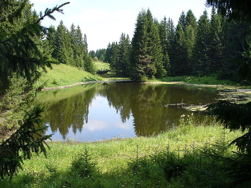 Лудорвай, Ижевск, Россия, Европа
