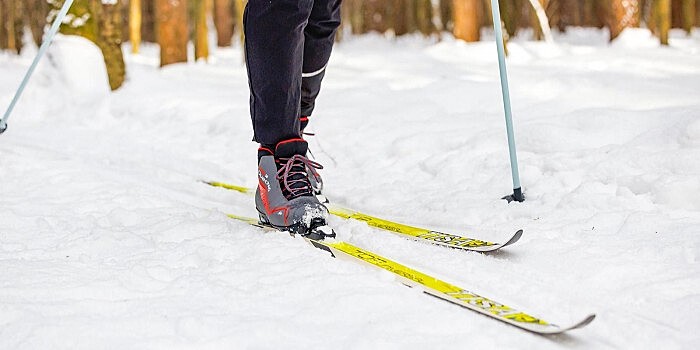 В Ясеневе построят флагманскую лыжную трассу «Битцевский лес» с искусственным покрытием