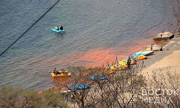 Во Владивостоке море стало оранжевым