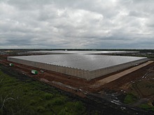 В этом году в Тамбовской области планируется запуск первой очереди тепличного комплекса «Мичуринский»