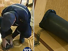 В зале Верховной рады бросили дымовую шашку