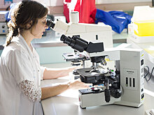 Как ученые определяют возраст вещей