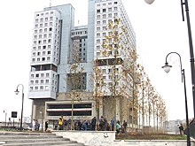 Около здания Дома Советов высадили платаны, а на улице Дачной — грабы