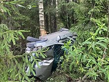 В Оричевском районе автоледи на «Рено» въехала в дерево