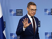 Спецпредставитель Путина раскритиковал Стубба за желание сходить с Трампом в сауну