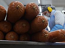 На производстве колбасы обнаружили сальмонеллу