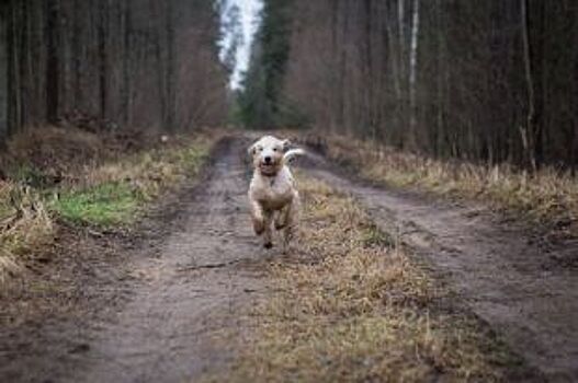 Недомашние выходные. Куда сходить омичам 1, 2, 3, 4 и 5 мая