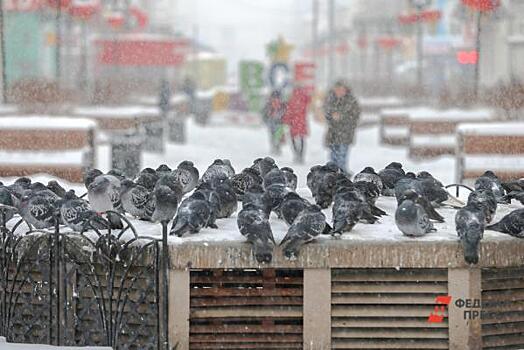 В Челябинской области сохранится аномально холодная погода