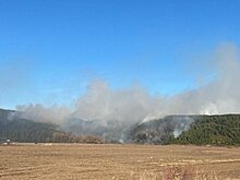 МЧС напоминает жителям Кировской области о штрафах за сжигание сухой травы