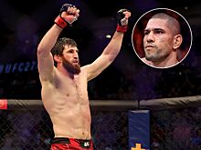 Магомед Анакалаев, карьера в UFC, бои, нокауты, Алекс Перейра — Магомед Анкалаев, когда бой, Перейра избегает Анкалаева