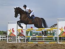 Кубок главы Тамбовской области по конкуру собрал в Мичуринском районе спортсменов и зрителей из нескольких регионов страны