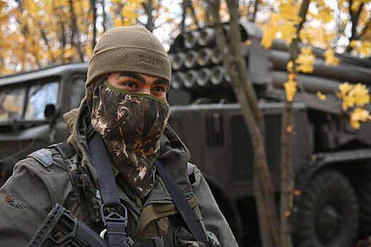 Минобороны: войска группировки "Центр" освободили Нетайлово в ДНР