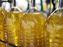 В России снизилось производство подсолнечного масла